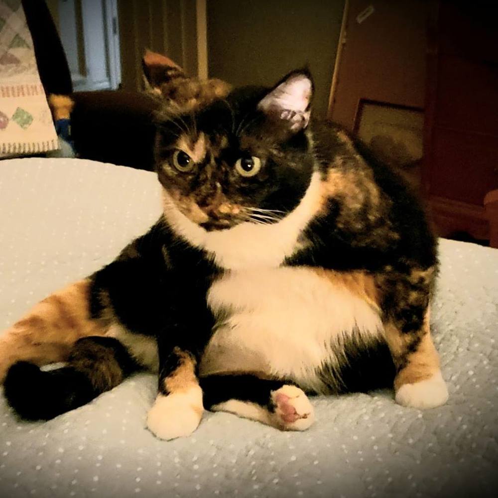 Meet your Posher, Karen